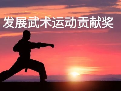 关于授予仙居县少林武校等 20个单位“发展武术运动贡献奖”的通知